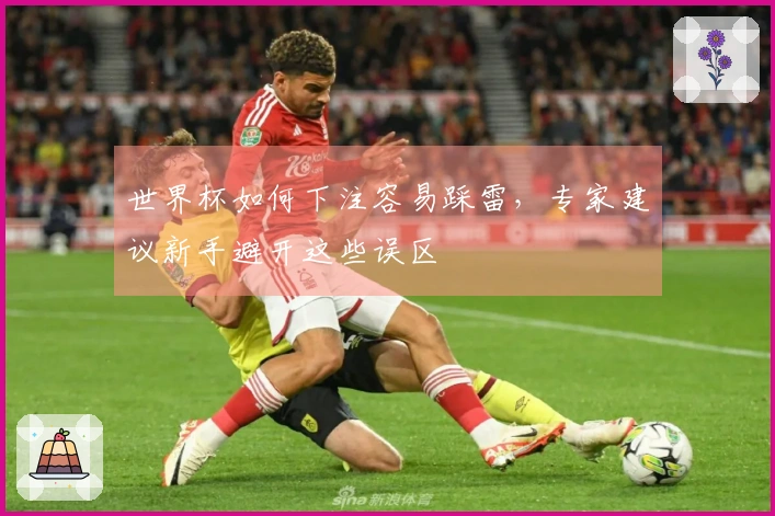 世界杯如何下注容易踩雷，专家建议新手避开这些误区