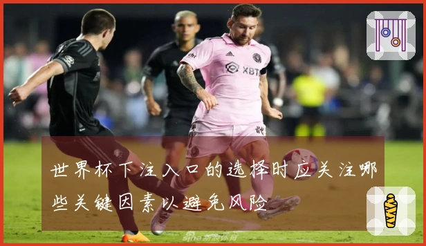 世界杯下注入口的选择时应关注哪些关键因素以避免风险