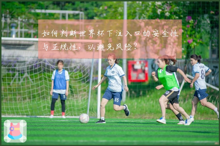 如何判断世界杯下注入口的安全性与正规性，以避免风险？