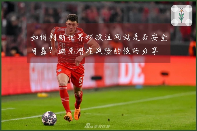 如何判断世界杯投注网站是否安全可靠？避免潜在风险的技巧分享