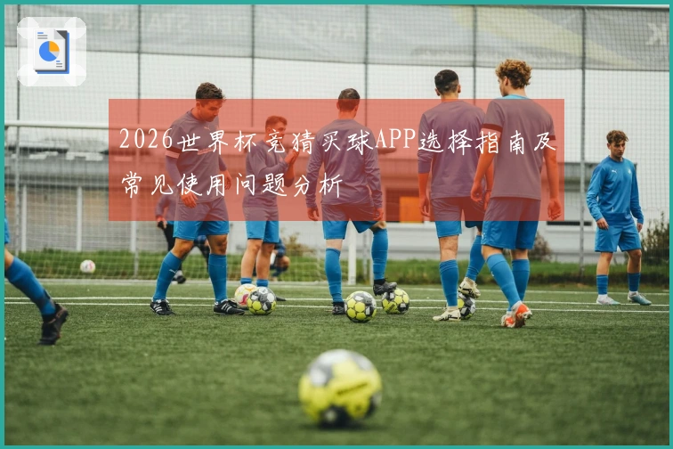 2026世界杯竞猜买球APP选择指南及常见使用问题分析