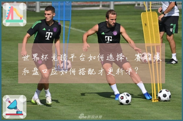 世界杯竞猜平台如何选择，赛程表和盘口应如何搭配才更科学？