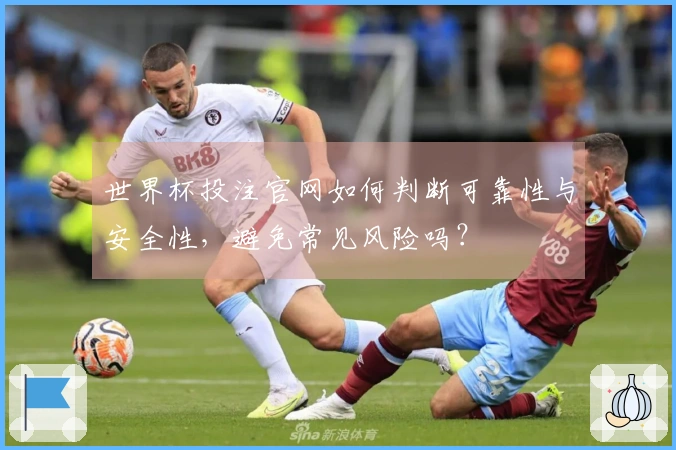 世界杯投注官网如何判断可靠性与安全性，避免常见风险吗？