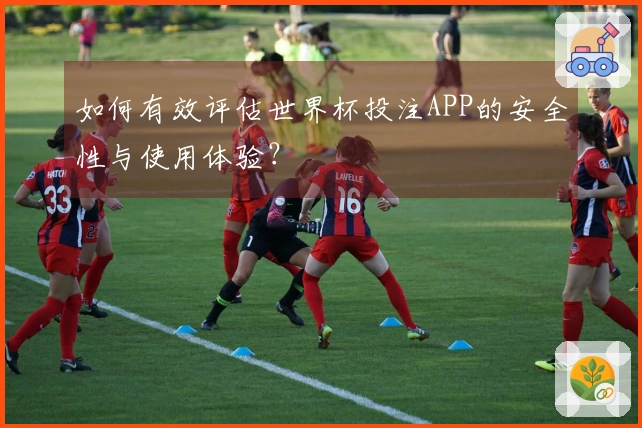 如何有效评估世界杯投注APP的安全性与使用体验?
