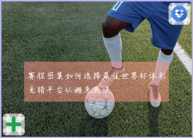 赛程密集如何选择最佳世界杯体彩竞猜平台以避免失误