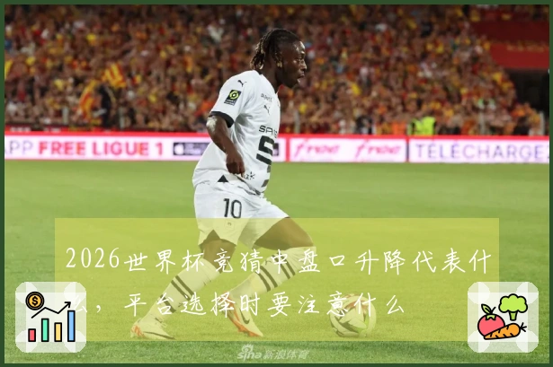 2026世界杯竞猜中盘口升降代表什么，平台选择时要注意什么
