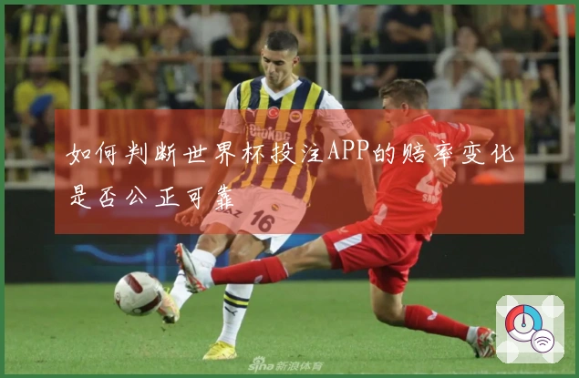 如何判断世界杯投注APP的赔率变化是否公正可靠