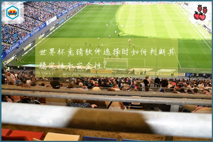 世界杯竞猜软件选择时如何判断其稳定性和安全性？