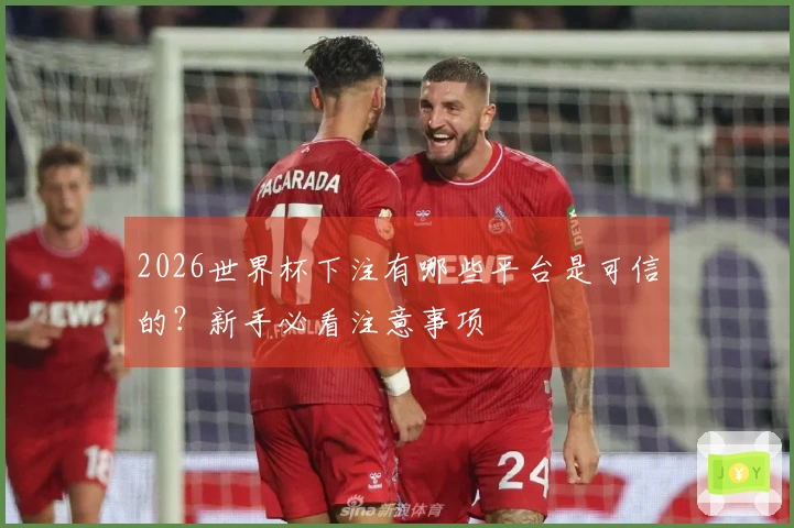 2026世界杯下注有哪些平台是可信的？新手必看注意事项
