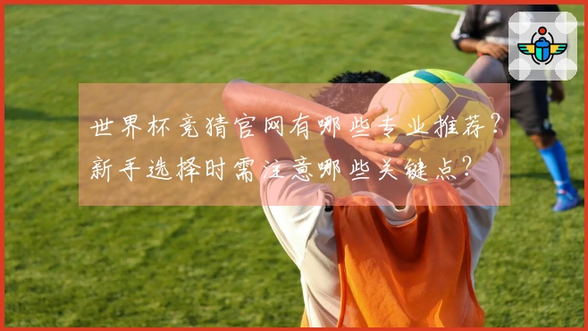 世界杯竞猜官网有哪些专业推荐？新手选择时需注意哪些关键点？