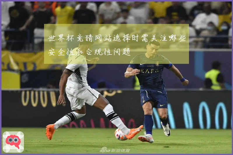 世界杯竞猜网站选择时需关注哪些安全性和合规性问题