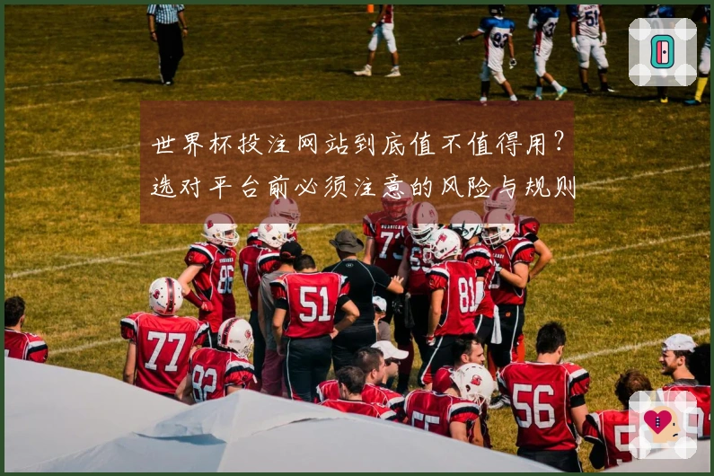 世界杯投注网站到底值不值得用？选对平台前必须注意的风险与规则解析