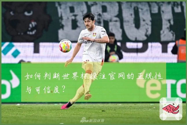 如何判断世界杯投注官网的正规性与可信度？