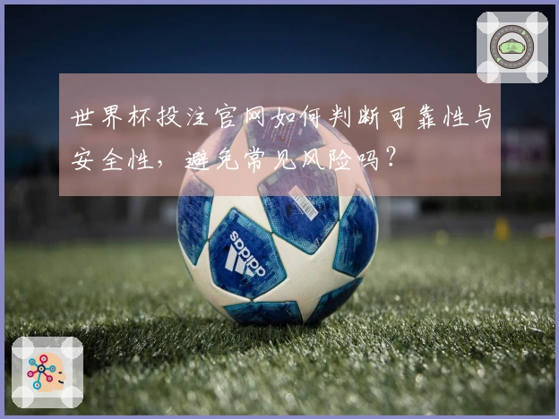世界杯投注官网如何判断可靠性与安全性，避免常见风险吗？