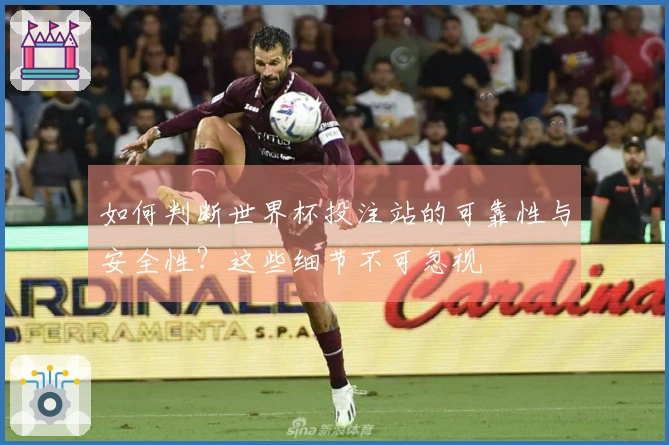 如何判断世界杯投注站的可靠性与安全性？这些细节不可忽视