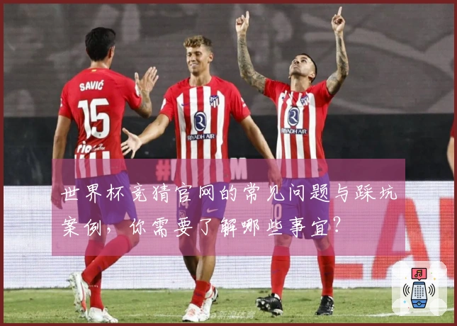 世界杯竞猜官网的常见问题与踩坑案例，你需要了解哪些事宜？