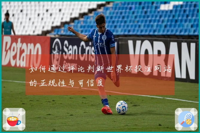 如何通过评论判断世界杯投注网站的正规性与可信度