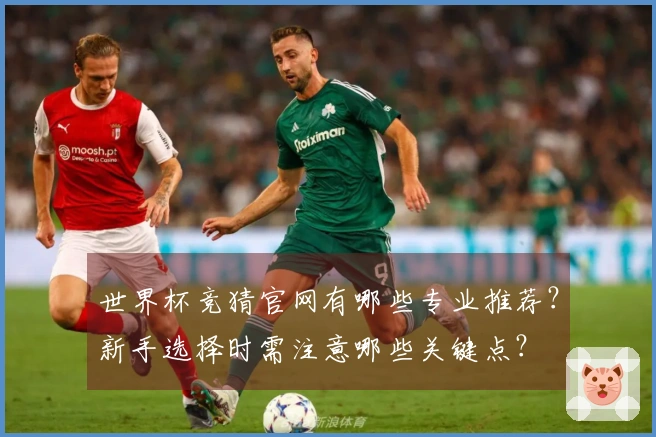 世界杯竞猜官网有哪些专业推荐?新手选择时需注意哪些关键点?