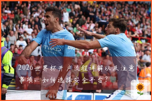 2026世界杯开户流程详解以及注意事项，如何选择安全平台？