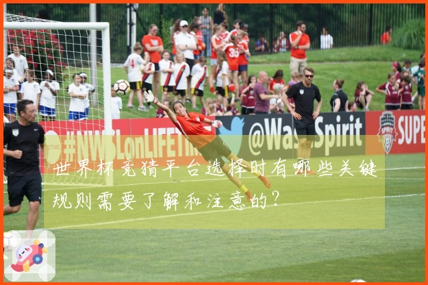 世界杯竞猜平台选择时有哪些关键规则需要了解和注意的？