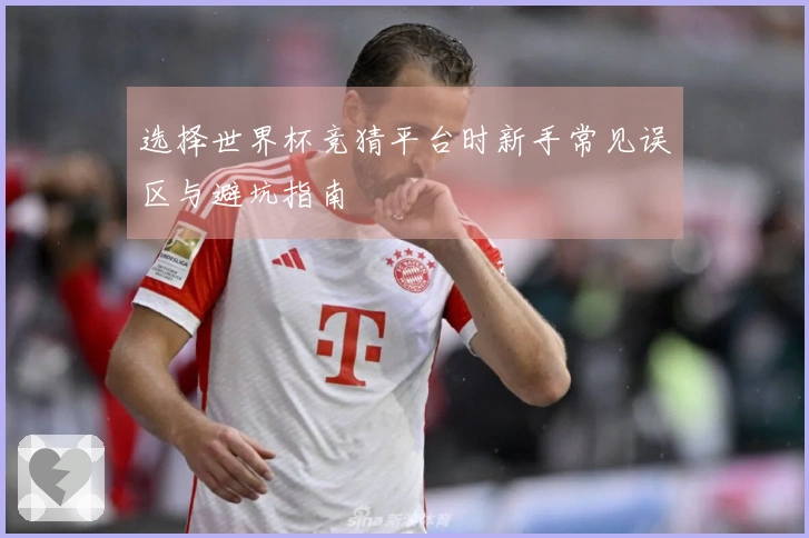 选择世界杯竞猜平台时新手常见误区与避坑指南