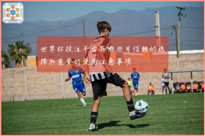 世界杯投注平台有哪些可信赖的选择和重要的使用注意事项
