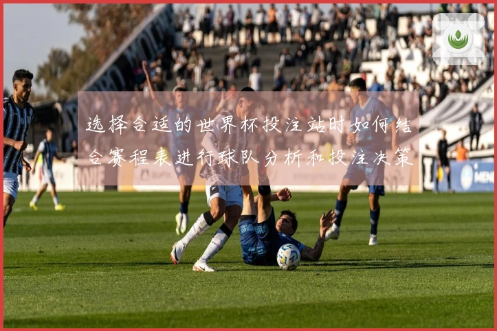 选择合适的世界杯投注站时如何结合赛程表进行球队分析和投注决策