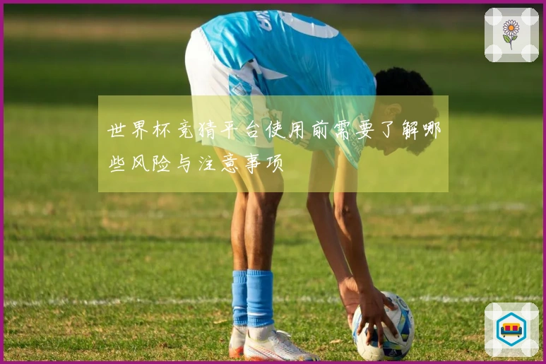 世界杯竞猜平台使用前需要了解哪些风险与注意事项