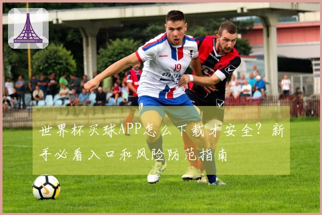 世界杯买球APP怎么下载才安全？新手必看入口和风险防范指南