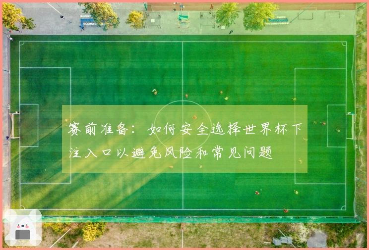 赛前准备：如何安全选择世界杯下注入口以避免风险和常见问题