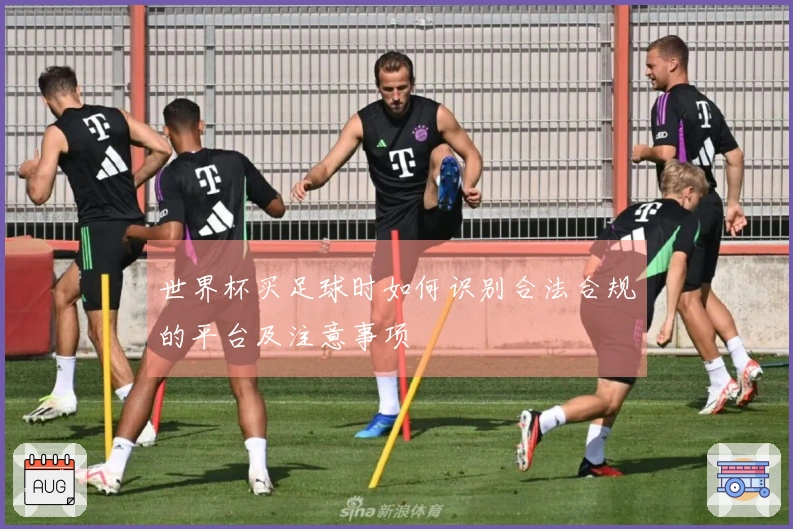 世界杯买足球时如何识别合法合规的平台及注意事项