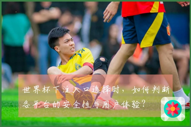 世界杯下注入口选择时，如何判断各平台的安全性与用户体验？