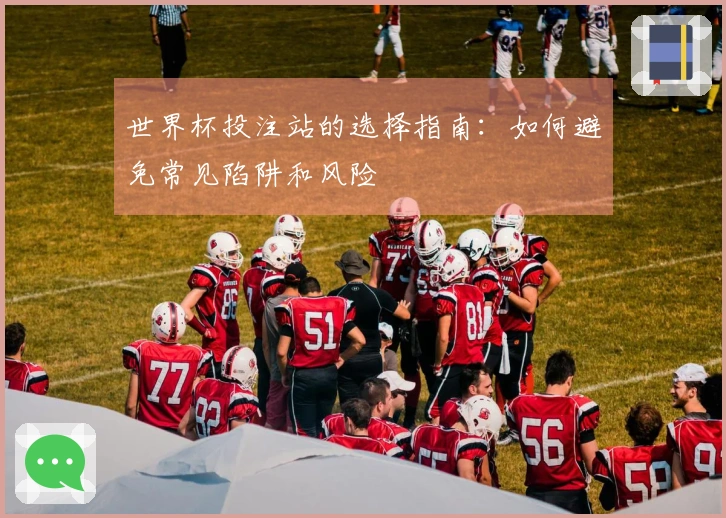 世界杯投注站的选择指南：如何避免常见陷阱和风险