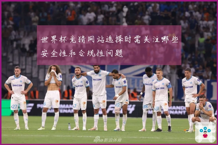 世界杯竞猜网站选择时需关注哪些安全性和合规性问题
