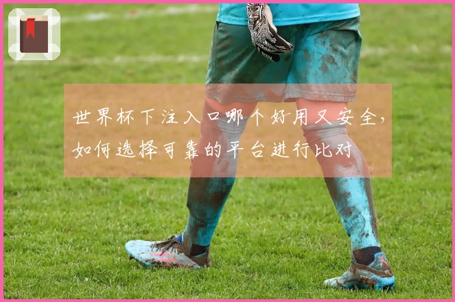 世界杯下注入口哪个好用又安全，如何选择可靠的平台进行比对