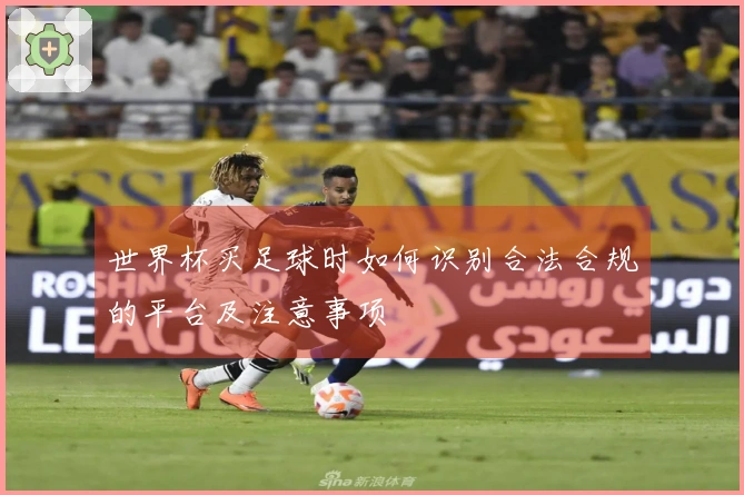 世界杯买足球时如何识别合法合规的平台及注意事项