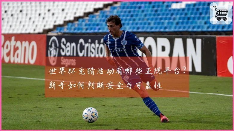 世界杯竞猜活动有哪些正规平台？新手如何判断安全与可靠性