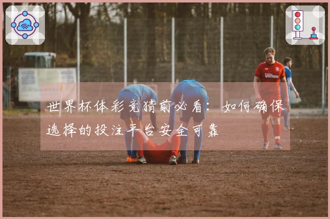 世界杯体彩竞猜前必看：如何确保选择的投注平台安全可靠