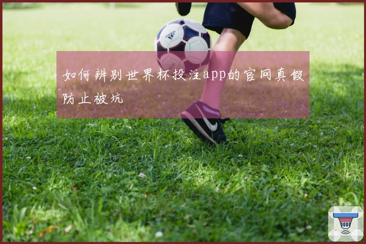 如何辨别世界杯投注app的官网真假防止被坑