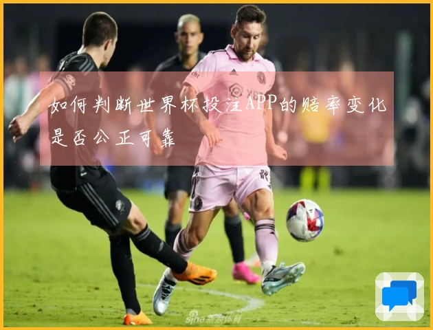 如何判断世界杯投注APP的赔率变化是否公正可靠
