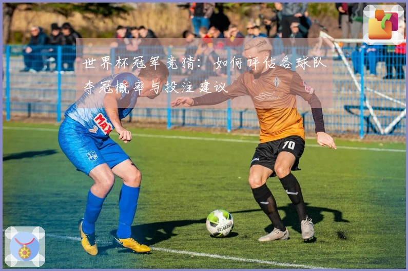 世界杯冠军竞猜：如何评估各球队夺冠概率与投注建议