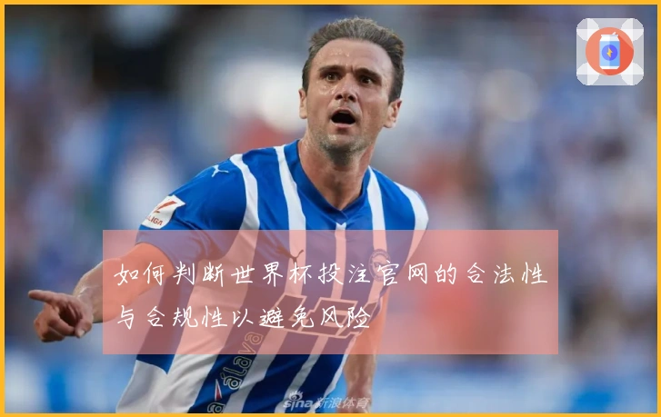 如何判断世界杯投注官网的合法性与合规性以避免风险